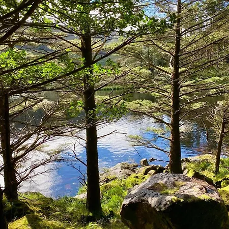 Bed & Breakfast The Shores Castlegregory