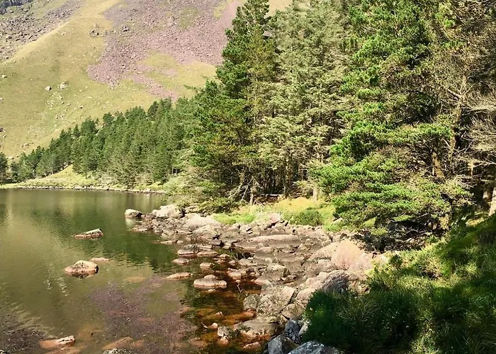 The Shores Bed & Breakfast 3*