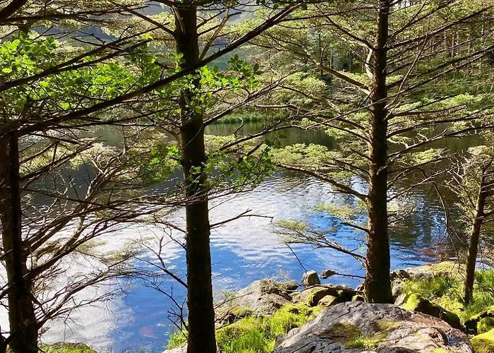 住宿加早餐酒店 The Shores 卡索格加里
