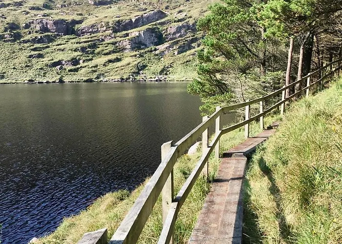 住宿加早餐酒店 The Shores